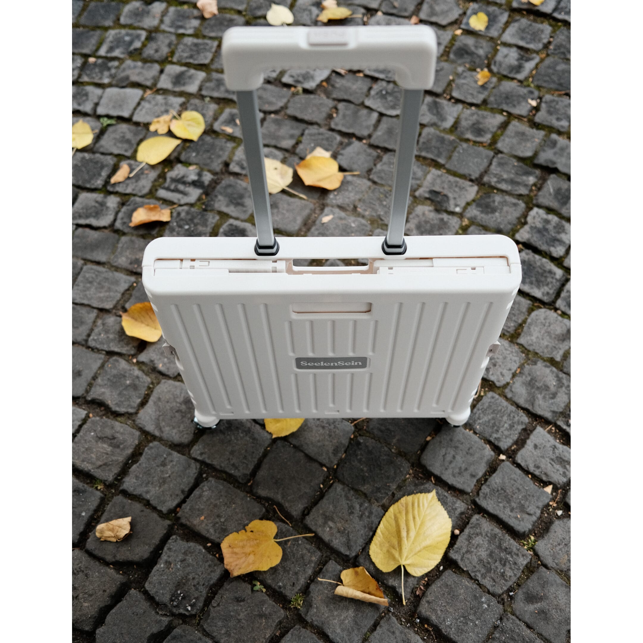 Klappbarer Einkaufswagen Max