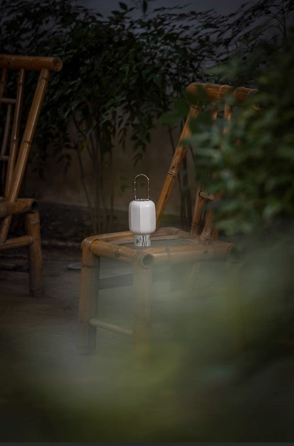 Schneebambus – Kühle Grüne Eleganz