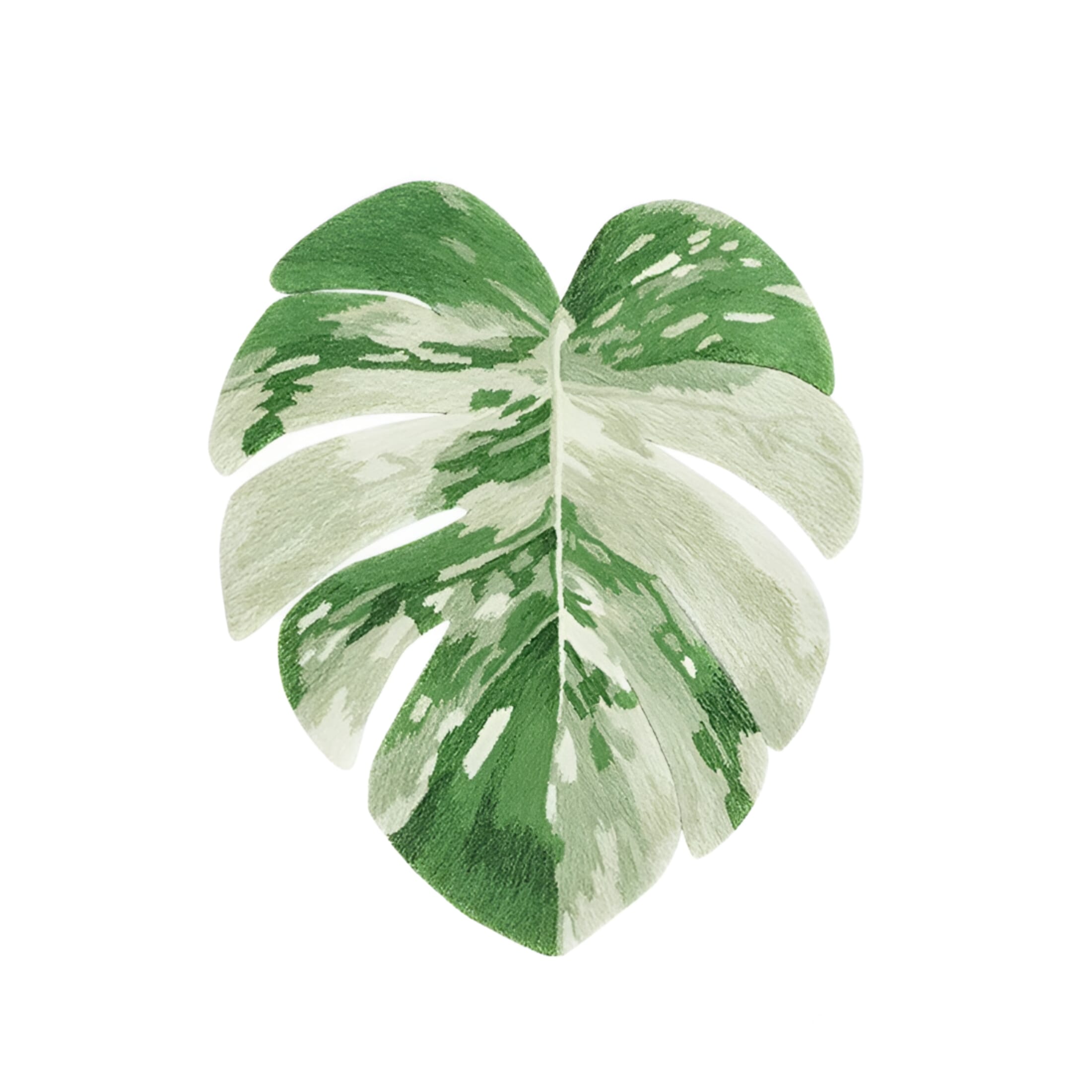 Teppich Monstera