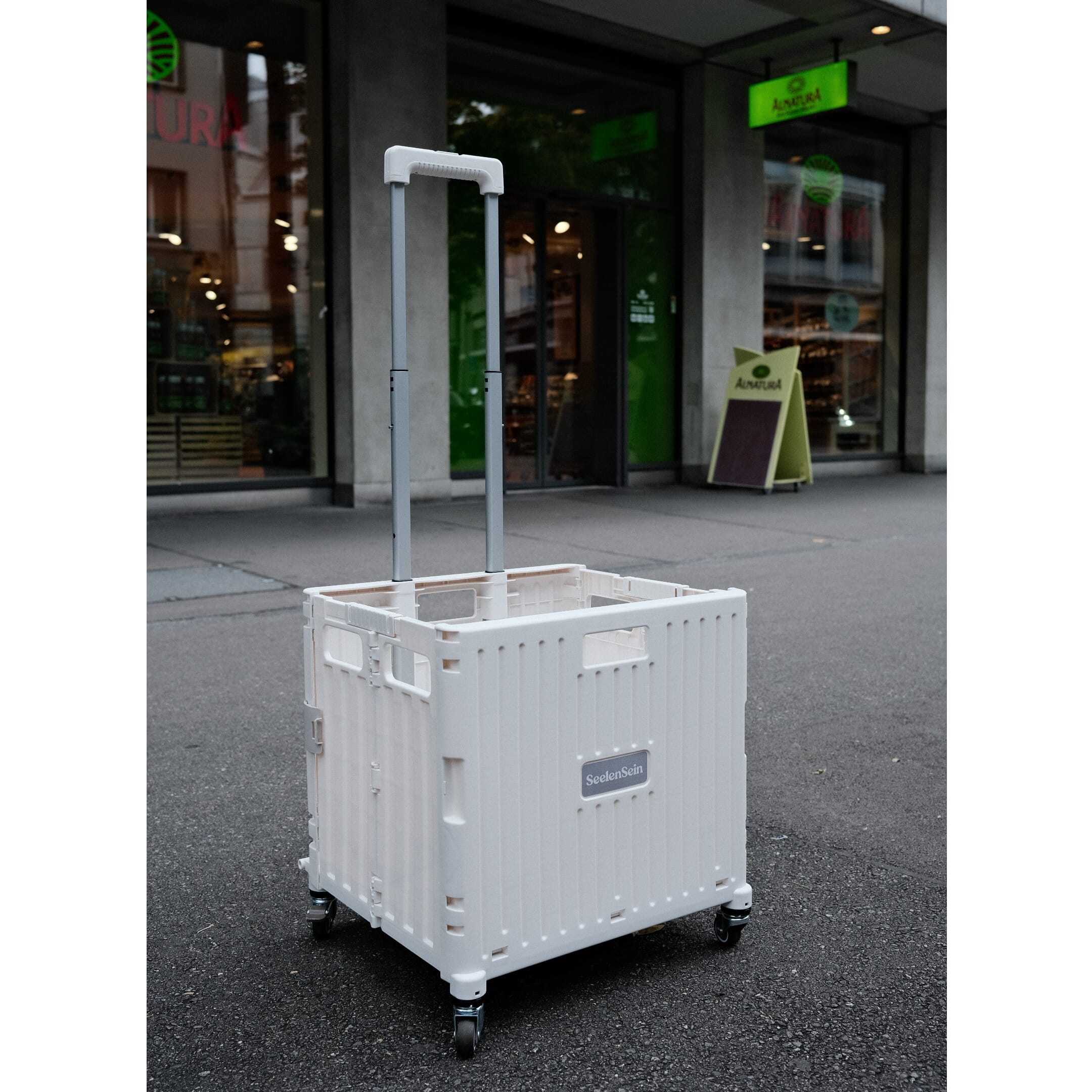 Klappbarer Einkaufswagen Max