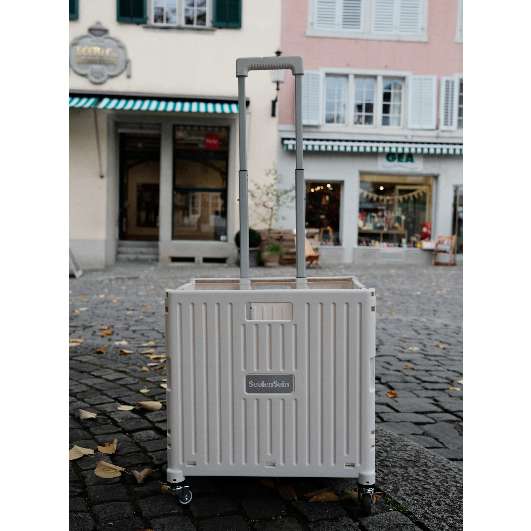 Klappbarer Einkaufswagen Max