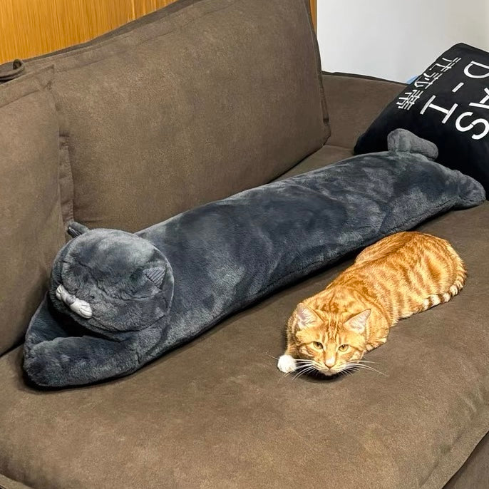 Tier-Körperkissen: Britisch Kurzhaar