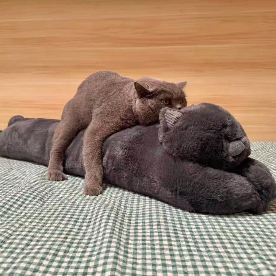 Tier-Körperkissen: Britisch Kurzhaar